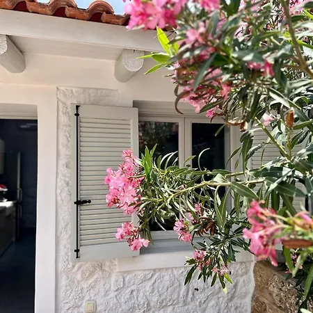 The Artist's Lodge, Gcollectiongr